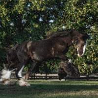 Gloria's Love Story 3 Gloria's Love Story 3