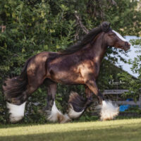 Hold my Halo 2 Hold my Halo 2