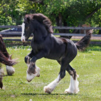 Hold my Halo 3 Hold my Halo 3