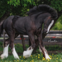 Hold my Halo 4 Hold my Halo 4