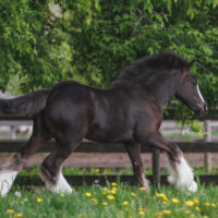 Hold my Halo 5 Hold my Halo 5