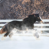 Melissa Maddison 2 Melissa Maddison 2