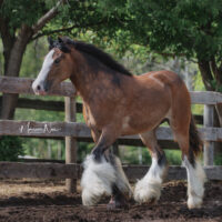 Melissa Maddison 3 Melissa Maddison 3