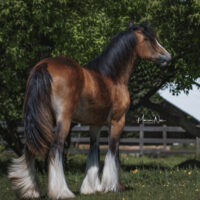 Melissa Maddison 4 Melissa Maddison 4