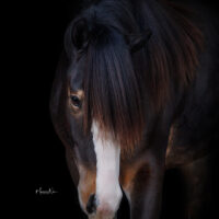 Melissa Maddison 6 Melissa Maddison 6