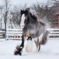 Melissa Maddison 7 Melissa Maddison 7