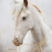 RLR Rhinestone Cowboy 2